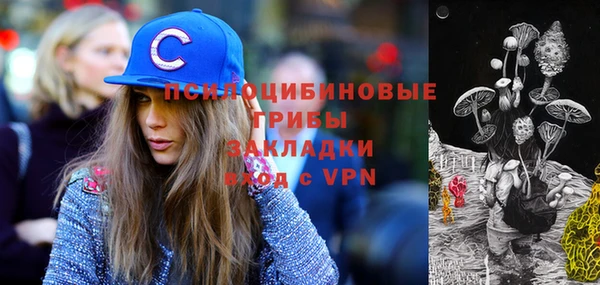 винт Арсеньев