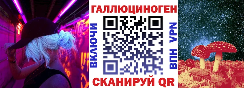 хочу наркоту  Солигалич  Галлюциногенные грибы Psilocybine cubensis 